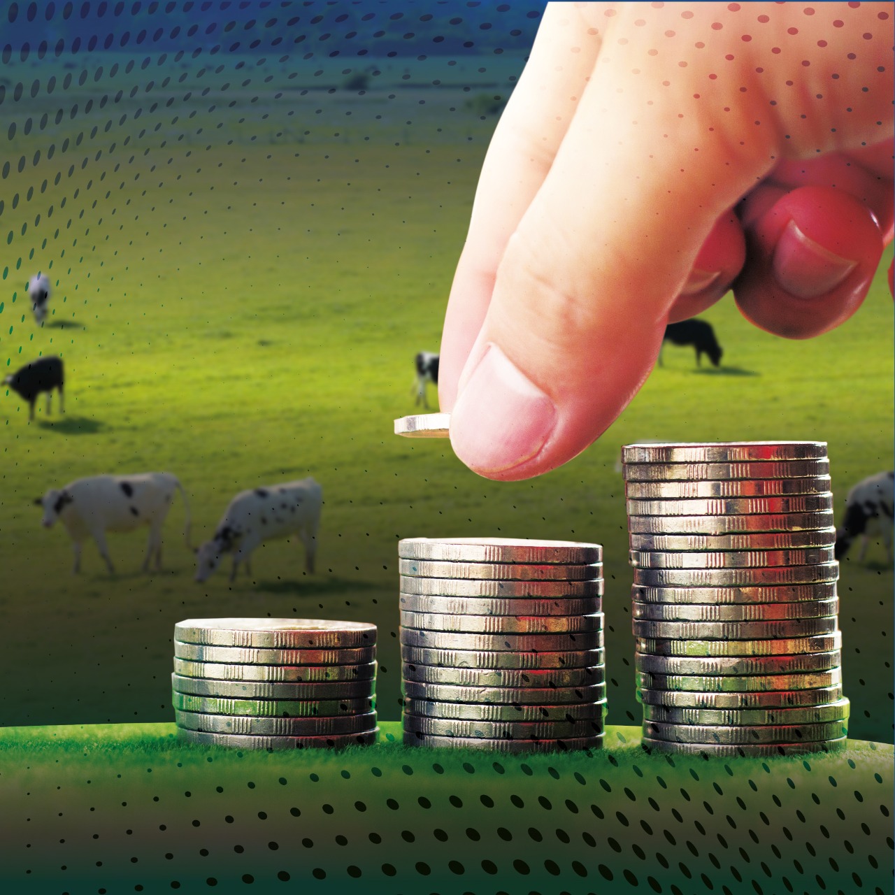 Qual o comportamento de investimento das fazendas leiteiras assistidas pela equipe do Educampo?